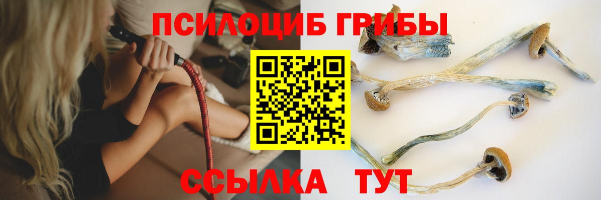 Тимашёвск  Псилоцибиновые грибы MAGIC MUSHROOMS  Псилоцибиновые грибы Cubensis  Вход с VPN 